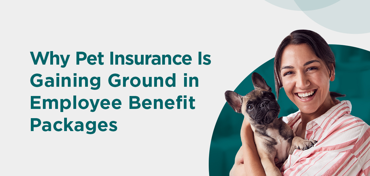 Why Pet Insurance Is Gaining Ground in Employee Benefit Packages Featured Image